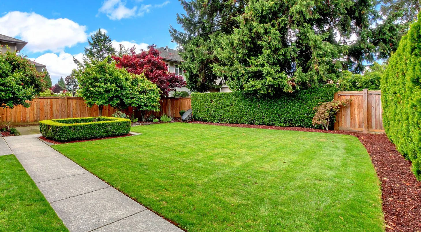 service-landscaping-pic-1