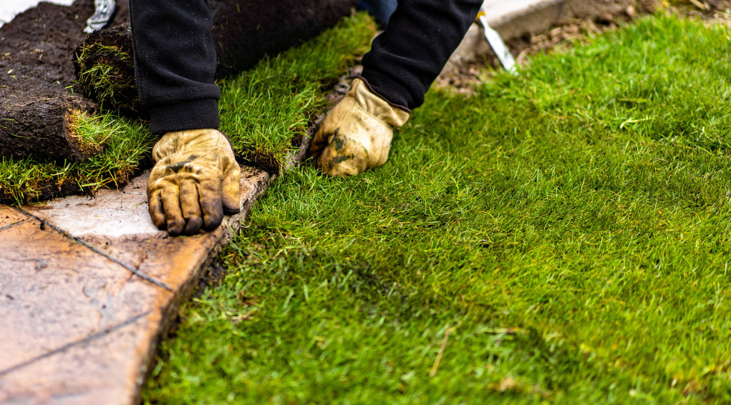 service-turfing-pic-2