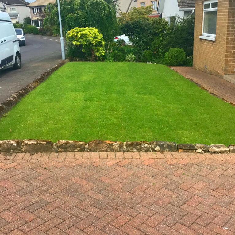 landscaping-home-section-pic