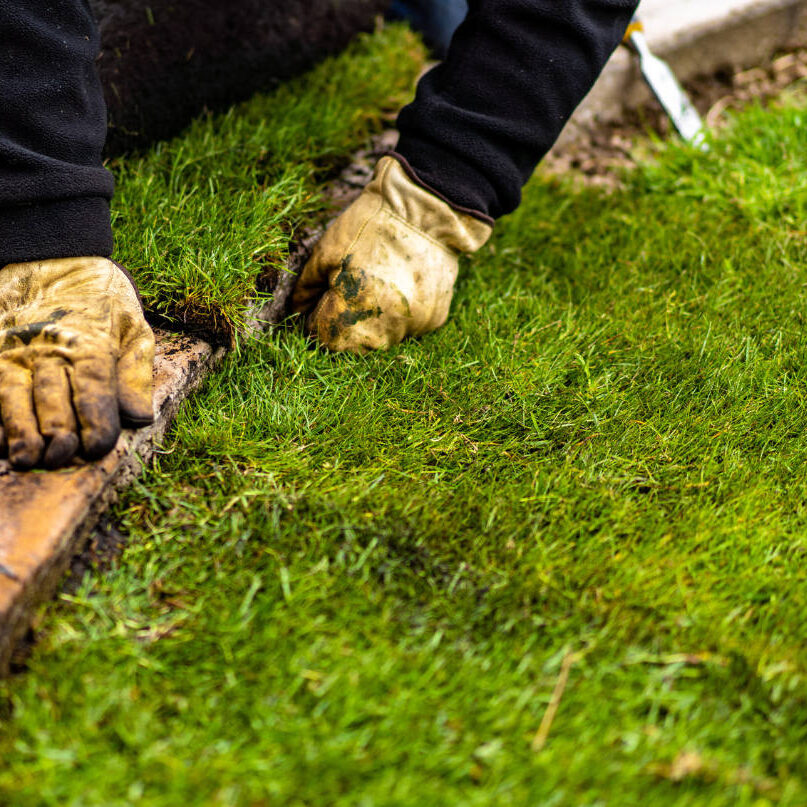 service-turfing-pic-2